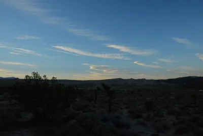 DSC_0305 (Large).JPG